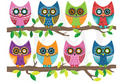 Colorful Cute Owl