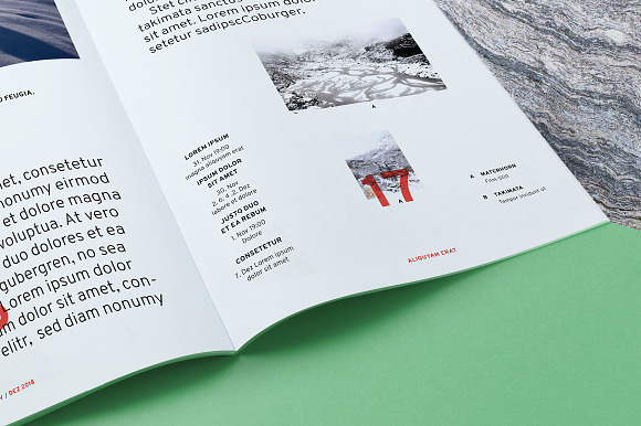 SWISS ALPS Magazin in Magazine Templates - product preview 6