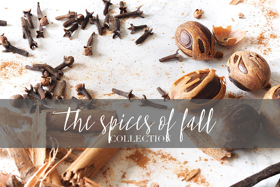 [22] FALL SPICES PHOTO BUNDLE