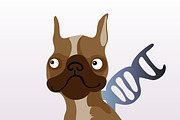 Dog and DNA 