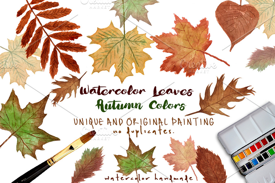 Watercolor Autumn Leaves Collection in Illustrations - product preview 8