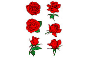 Red roses buds icons