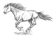 Running horse