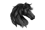 Raven horse head profile