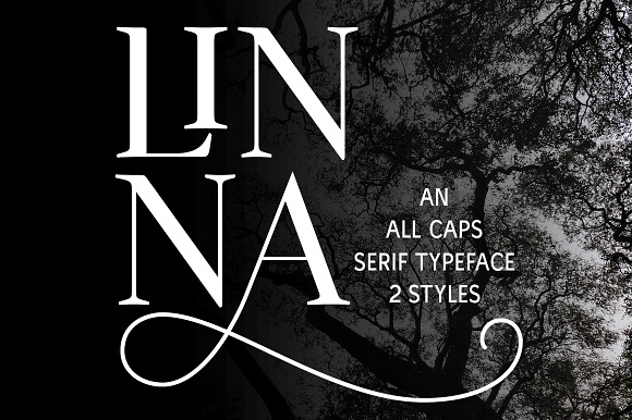 Linna in Serif Fonts - product preview 7