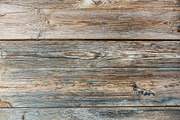 Old rustic faded wooden texture