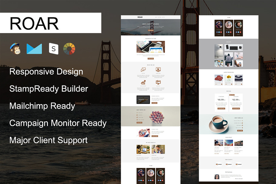 ROAR - Responsive Email Template in Mailchimp Templates - product preview 8