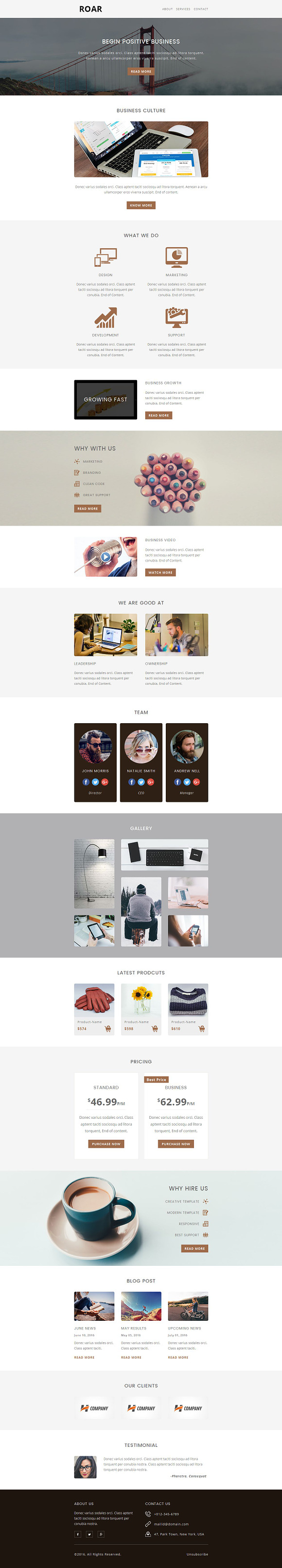ROAR - Responsive Email Template in Mailchimp Templates - product preview 1