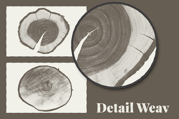Wood Texture Background Pack in Textures - product preview 3