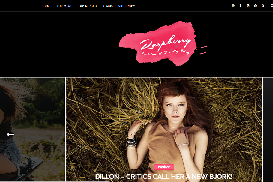 Raspberry Dark Blogger Template in Website Templates - product preview 8