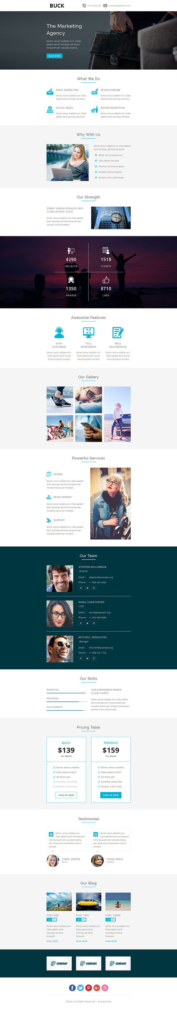 BUCK - Responsive Email Template in Mailchimp Templates - product preview 1