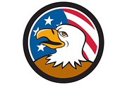 Bald Eagle Head Smiling USA Flag 