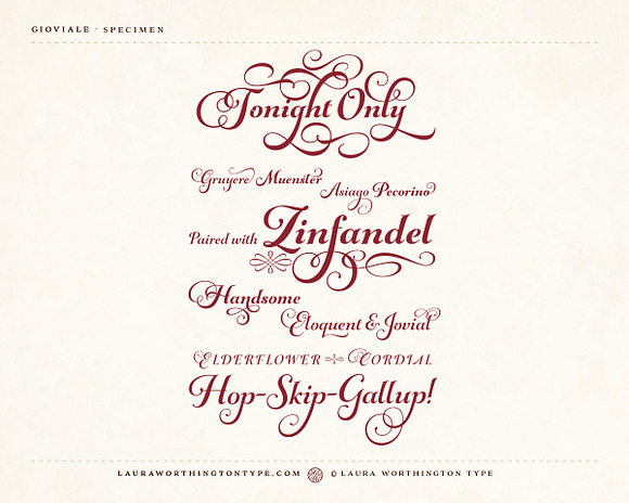Gioviale - Bold in Script Fonts - product preview 4