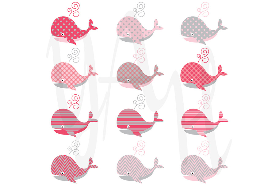 Cute Baby Pink Whale in Illustrations - product preview 8