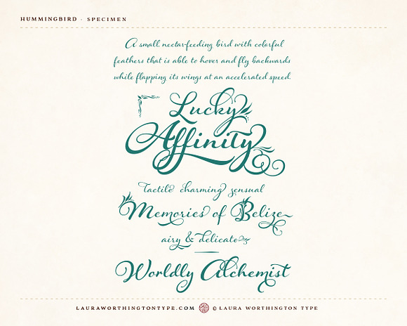 Hummingbird - Bold in Script Fonts - product preview 5
