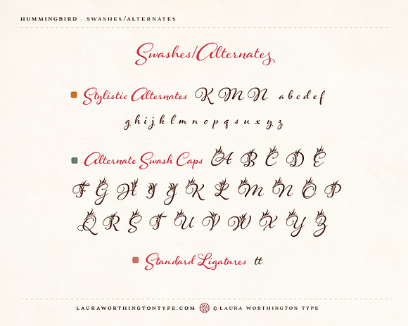 Hummingbird - Bold in Script Fonts - product preview 9