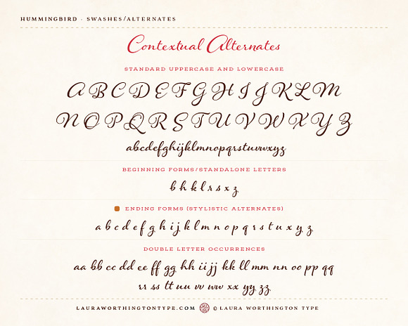 Hummingbird - Bold in Script Fonts - product preview 10