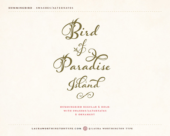 Hummingbird - Bold in Script Fonts - product preview 30