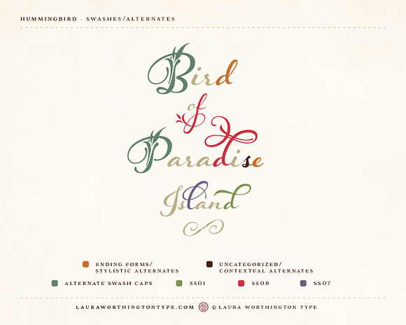 Hummingbird - Bold in Script Fonts - product preview 31