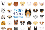 30x Dog breeds Vector Collection