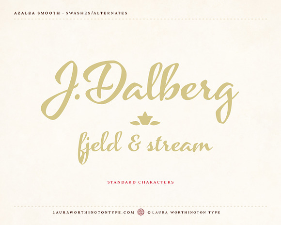 Azalea Smooth in Script Fonts - product preview 14