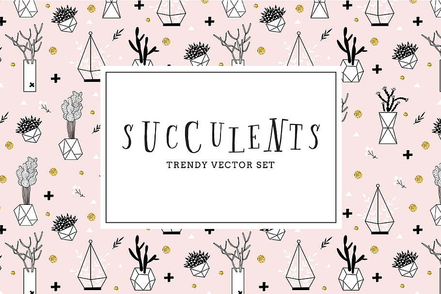 Succulents in Illustrations - product preview 8