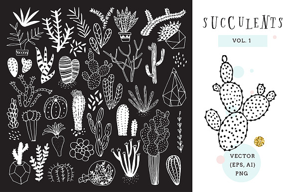 Succulents in Illustrations - product preview 1