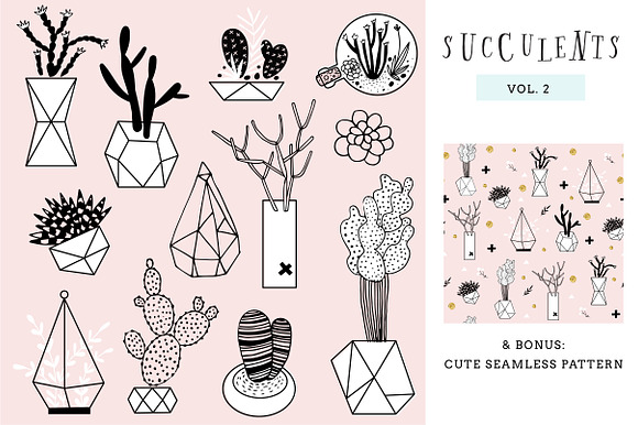 Succulents in Illustrations - product preview 2