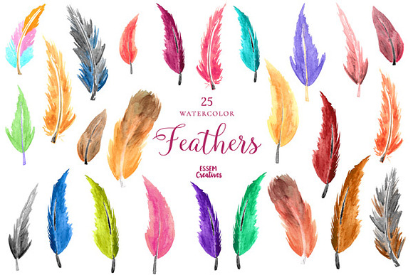 Watercolor Boho Feathers Clipart in Illustrations - product preview 1