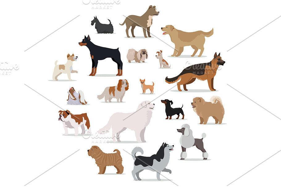 Dogs Breed Set in Cartoon Style  in Illustrations - product preview 8