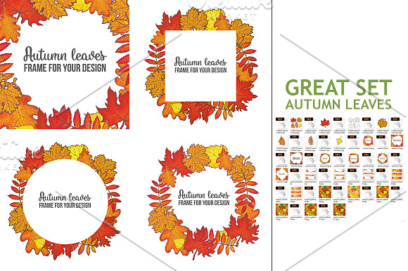 Set of Autumn Leaves in Illustrations - product preview 1