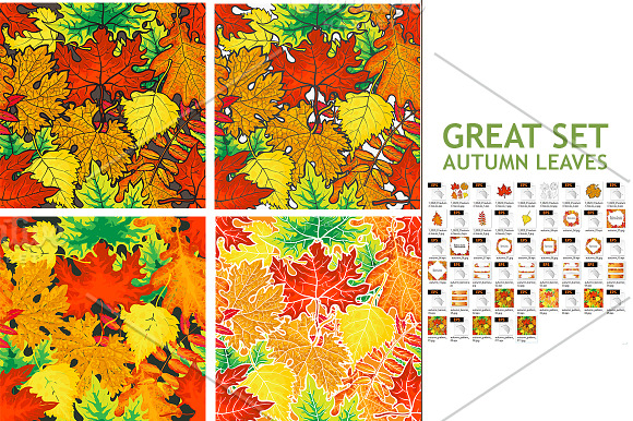 Set of Autumn Leaves in Illustrations - product preview 3