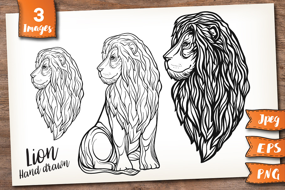 Lion. Graphic set. in Illustrations - product preview 8