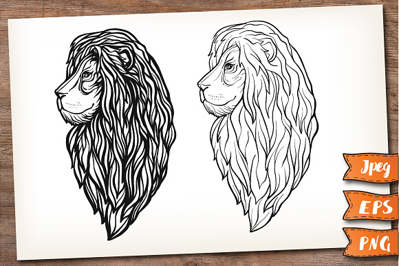 Lion. Graphic set. in Illustrations - product preview 1