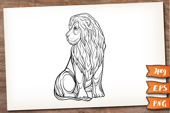Lion. Graphic set. in Illustrations - product preview 2