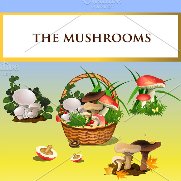 Collection of forest mushrooms in Illustrations - product preview 1