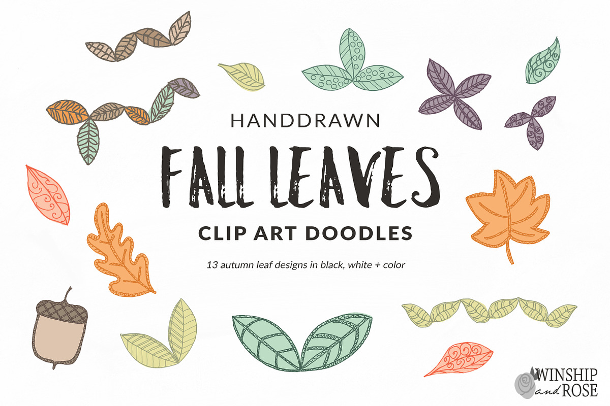 Fall Leaves - Leaf Clip Art Doodles in Illustrations - product preview 8