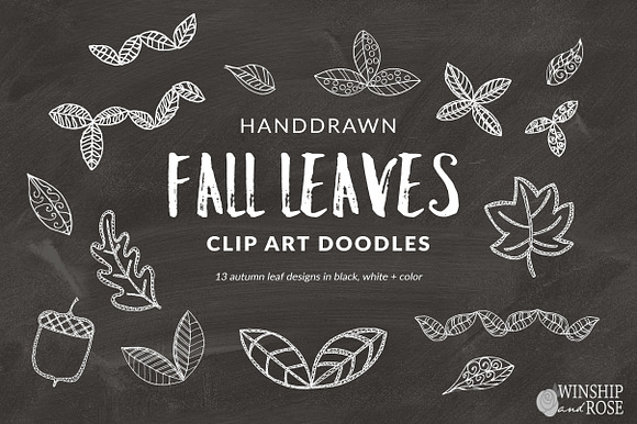 Fall Leaves - Leaf Clip Art Doodles in Illustrations - product preview 1