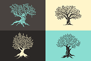 Vector olive trees isolated set