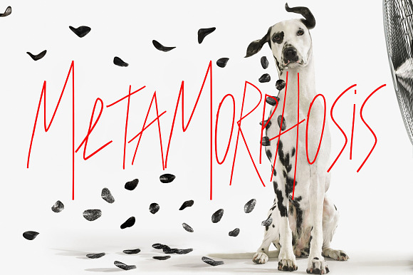 Metamorphosis Font in Script Fonts - product preview 3