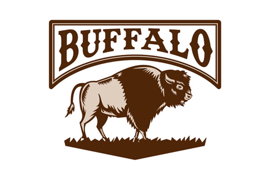 Buffalo American Bison Side Woodcut