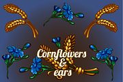 Cornflowers and ears