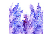 Watercolor lavender floral pattern
