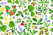 Wild herbs seamless pattern