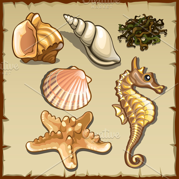 Seashells, seaweed and seahorse in Illustrations - product preview 1
