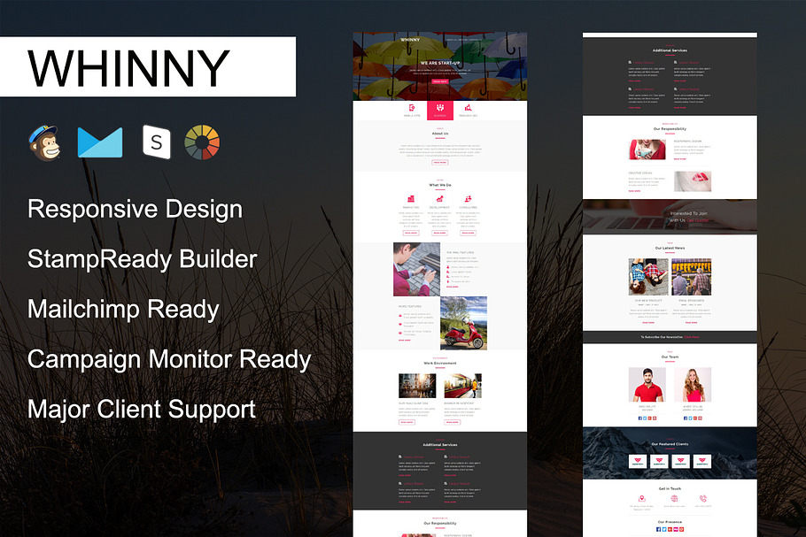 WHINNY - Responsive Email Template in Mailchimp Templates - product preview 8