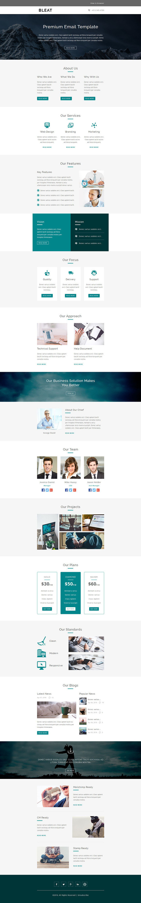 BLEAT - Responsive Email Template in Mailchimp Templates - product preview 1