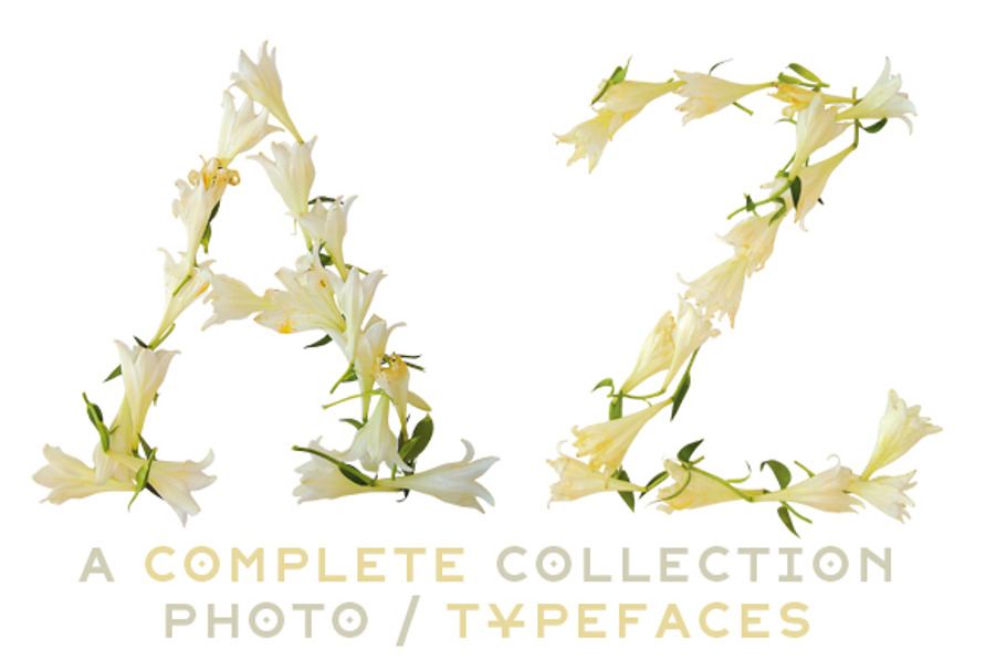 NT Lily -a multicolor photo/typeface