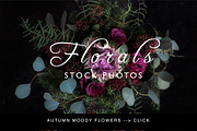 Moody autumn floral stock photos - 6