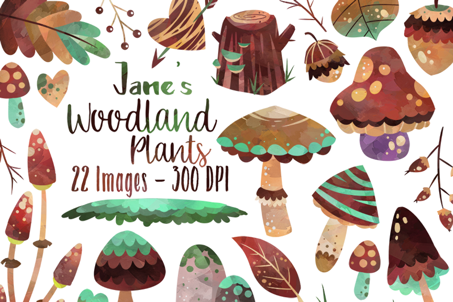 Watercolor Woodland Plants Clipart in Illustrations - product preview 8